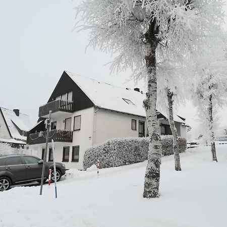 Haus Schneider Apartment Winterberg Bagian luar foto