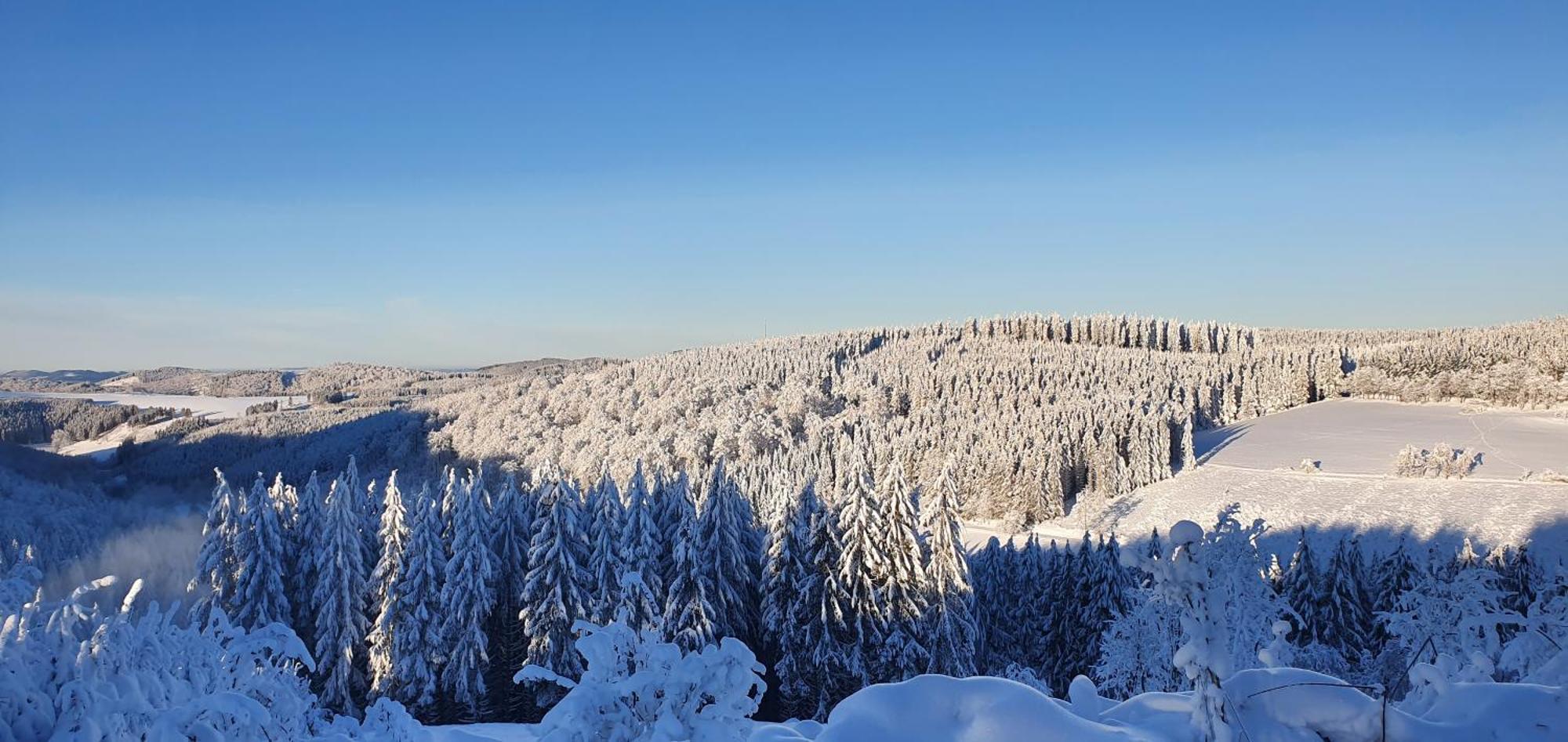 Haus Schneider Apartment Winterberg Bagian luar foto
